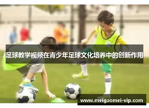 足球教学视频在青少年足球文化培养中的创新作用